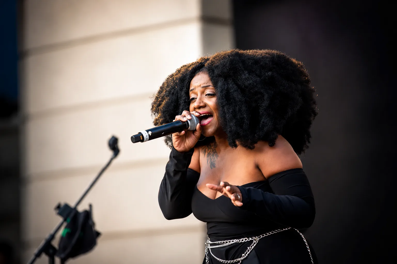 Live vocalist performance